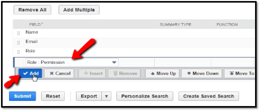 Instructions for NetSuite SOD User Permission Report add permission