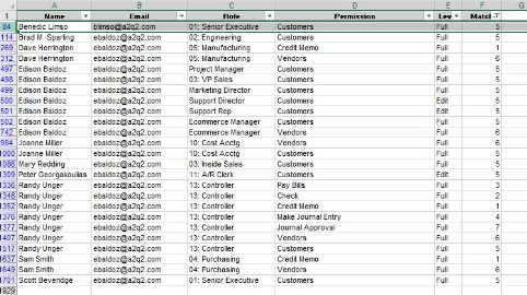 result of the filtered excel file