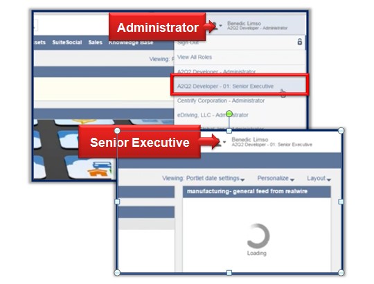 Screenshot of Roles in NetSuite Homepage