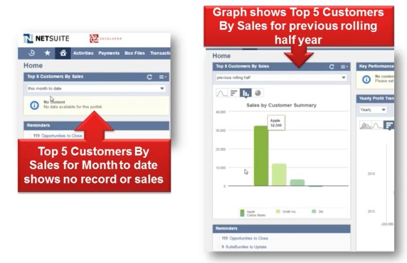 Screenshot of portlet graphs on NetSuite