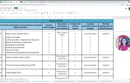 Entity Level Controls (ELC) sub-processes and activities for public company or SOX 404 readiness 0-23 screenshot
